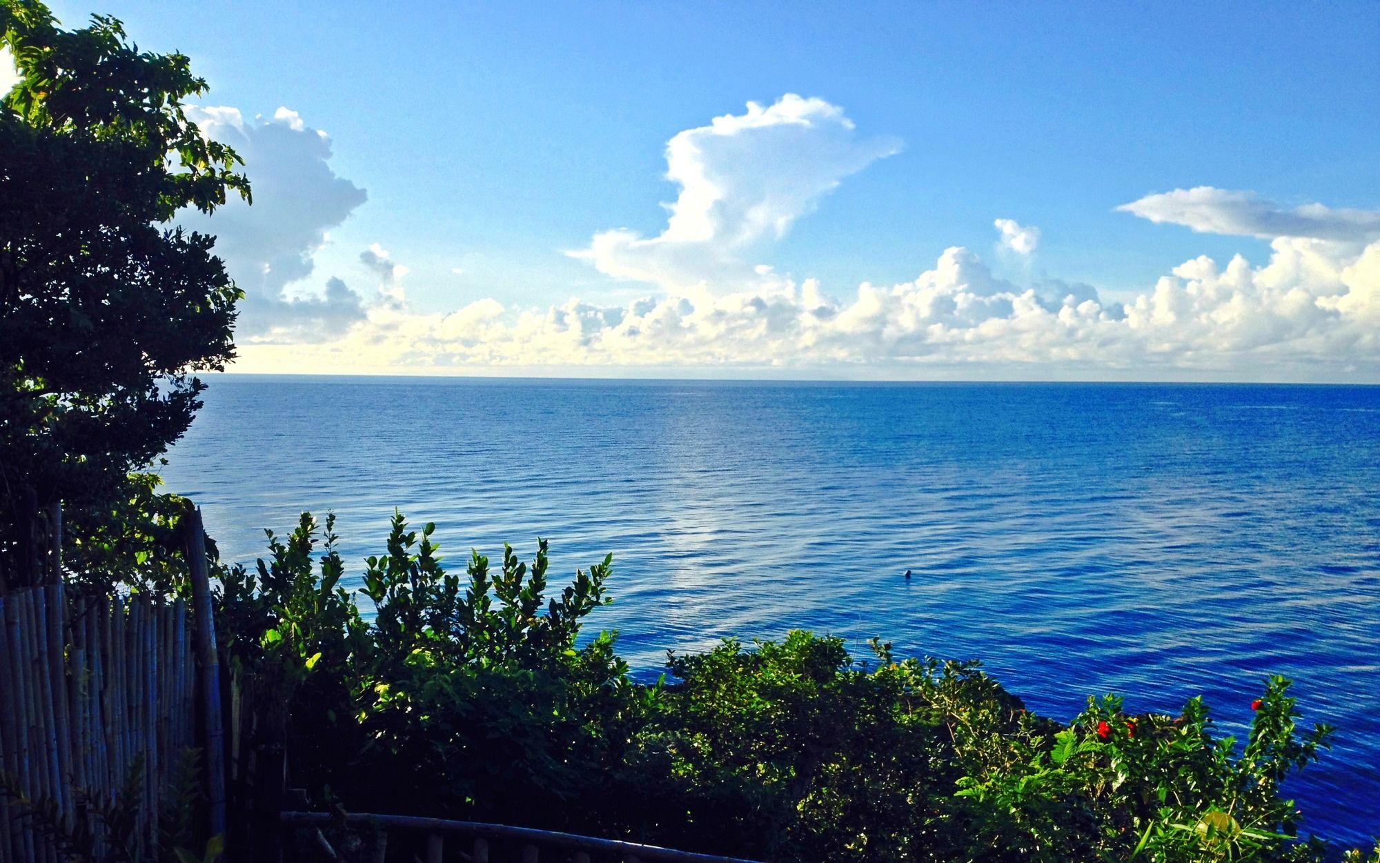 Bohol Lahoy Dive Resort Duero Dış mekan fotoğraf